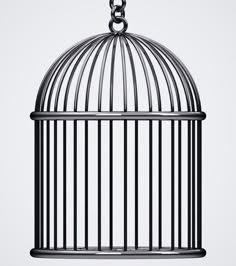 a bird in a cage hanging from a chain on a white background with clippings