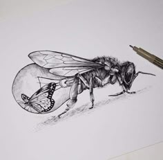 a drawing of a bee with a butterfly on it's back