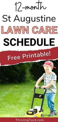 a young boy playing with his lawn mower in the grass, text reads 12 - month st augustinee lawn care schedule free printable