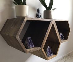 a shelf that has some rocks in it and two plants on the ledge next to it