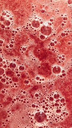 red blood cells are shown in this close up view, with small circles on the surface