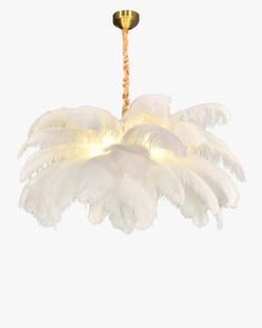 a chandelier with white feathers hanging from the ceiling