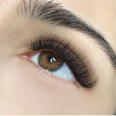 Color Lash Extensions, Eyelash Extensions Aftercare, Mink Lash Extensions, Applying False Eyelashes, Applying Eye Makeup, Volume Eyelash Extensions