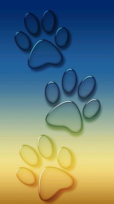 an animal's paw is shown in three different colors