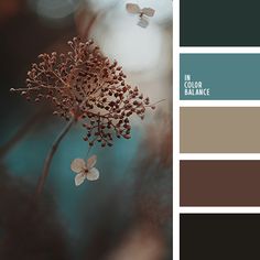 the color palette is brown, teal, and gray with some white flowers on it