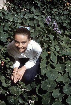 a woman kneeling in the middle of some plants