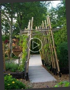 an outdoor garden with lots of plants and wooden trelliss on the side walk