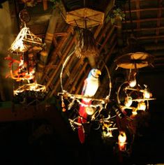 a bird is sitting on top of a chandelier that has lights hanging from it