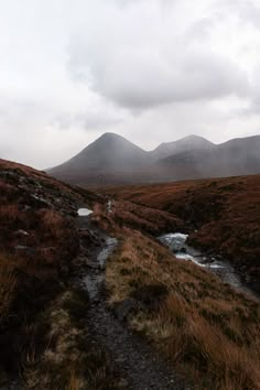 there is a small stream in the middle of this grassy area with mountains in the background