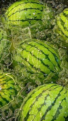 many watermelons are sitting together in the water