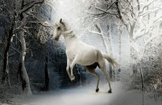 a man standing next to a white horse in the snow with trees behind him and a yellow flower on his head