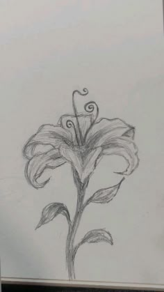 Landscape Art Pencil Sketch, Withering Flower Drawing, Pretty Sketches Aesthetic, Aphrodite Drawing Sketch, East Sketches, Drawing Sketches Flowers, Sketchbook Ideas Flowers, Flower Pencil Sketches, Flower Sketches Easy