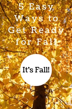 a tree with yellow leaves and the words 5 easy ways to get ready for fall