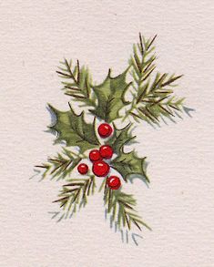 a watercolor painting of holly with berries and green leaves on white paper by corbe