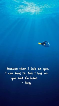 a fish swimming in the ocean with a quote below it that reads, because when i look at you, i can feel it and i look at you