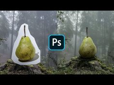 two pears sitting on top of each other in the woods