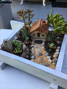 there is a small house in the middle of some rocks and succulents