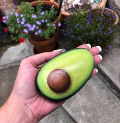 an avocado is being held in front of some potted plants and flowers