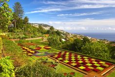 a garden with many different types of flowers and plants on the side of a hill