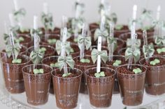 there are many cups with small plants in them on the cake platter for dessert