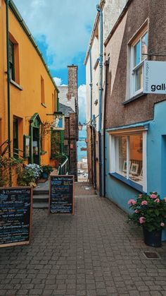 an alley way with signs and flowers on the sidewalk in front of some colorful buildings