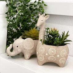 two ceramic elephants are sitting on a shelf next to some succulents and plants