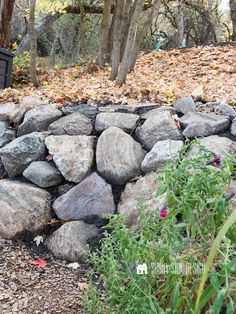 a pile of rocks sitting next to a forest filled with lots of leaves and flowers