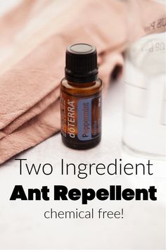 Essential Oils For Ants How To Get Rid, Essential Oils To Kill Ants, Essential Oils To Get Rid Of Ants, Diy Ant Spray, Any Repellent, Essential Oils Ants Repellant, Essential Oils For Ants, Ant Repellent Diy Indoor Essential Oil, Natural Ant Repellant For Home