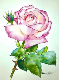 a painting of a pink rose with green leaves