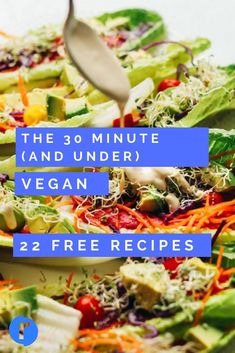 the 30 minute and under vegan salad is ready to be eaten with a spoon