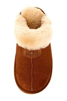 The interior of the cozy suede Loki slipper is lined with luxe genuine sheepskin fur.Sizing: True to size. Whole sizes only; for 1/2 sizes, order next size up. M=standard width. Free Dogs, Shoes And Boots, Slide Slipper, Dog Toys, Christmas List, Loki, Nordstrom Rack, Slippers, Wish List