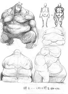 some sketches of different types of body shapes