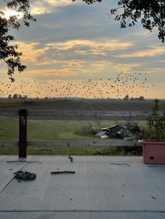 birds flying in the sky over a field with trees and trash cans on the ground