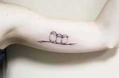 two small birds sitting on top of a tree branch with one bird perched on it's arm