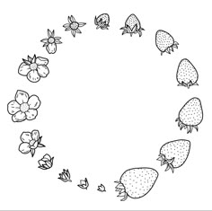 strawberries arranged in the shape of a circle with leaves and flowers around them on a white background