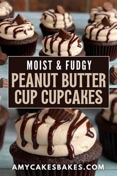 chocolate cupcakes topped with white frosting and drizzled in chocolate