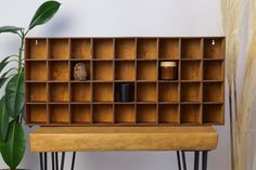 a wooden shelf with several compartments on it and a potted plant next to it