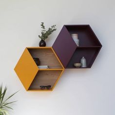 two shelves on the wall with vases and other items in them next to a potted plant