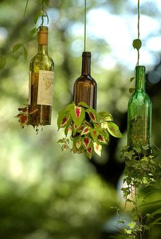 bottles hanging from the ceiling with plants in them and text overlay that reads 10 creative ways to upcycle old glass bottles