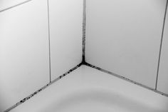 the corner of a bathroom with white walls and black grouting on the floor