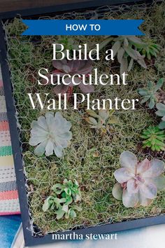 the cover of how to build a succulent wall planter by martha stewart