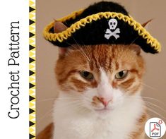 an orange and white cat wearing a pirate hat