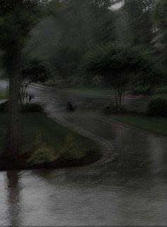 two people walking down the street in the rain