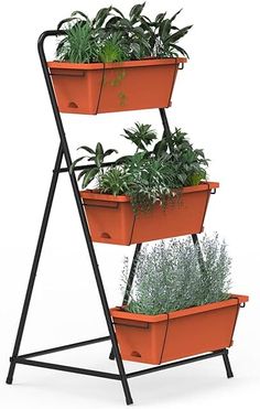 three tiered planter stand with plants in it