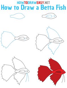 how to draw a betta fish step by step drawing instructions for kids and beginners