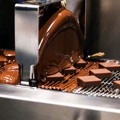 chocolates being made on a conveyor belt