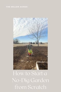 no till, no till garden, gardening tips, no dig, no dig garden Starting A Garden