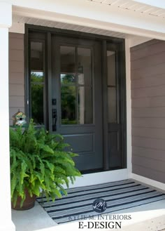 the front door of a house with a plant on the step and an entry mat