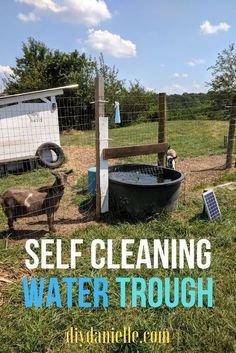 a goat in a fenced off area with the words self cleaning water trough above it