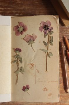 an old book with some flowers on it